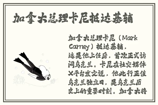 玉女桃花轻蜜粉K03多少钱